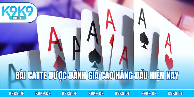 Bài Catte được đánh giá cao hàng đầu hiện nay