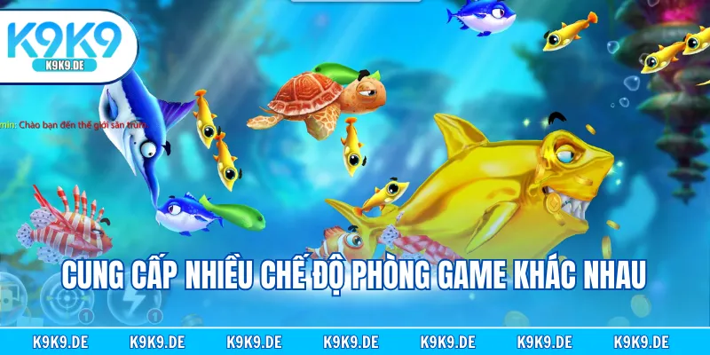 Cung cấp nhiều chế độ phòng game khác nhau