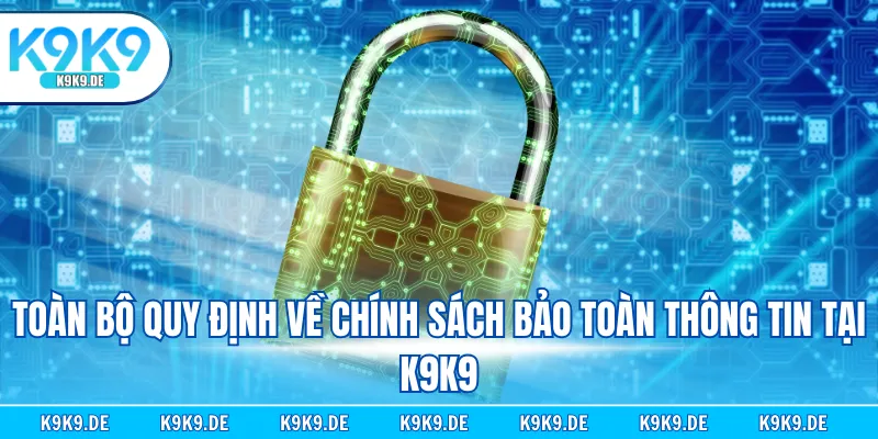 Toàn bộ quy định về chính sách bảo toàn thông tin tại K9K9
