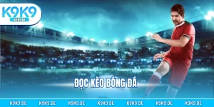 Đọc Kèo Bóng Đá - Hướng Dẫn Chi Tiết Đầy Đủ Đến Newbie
